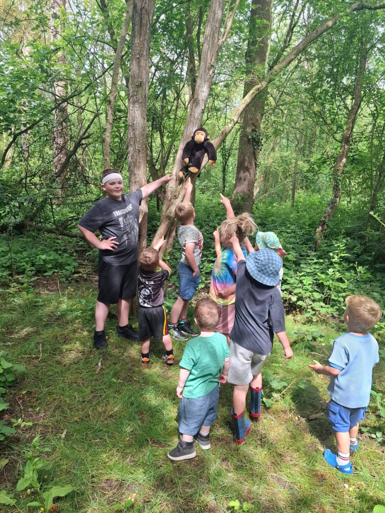 Group of children exploring the woods together