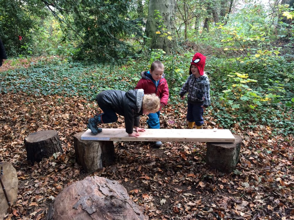 Sunlit woodland clearing with rope swings